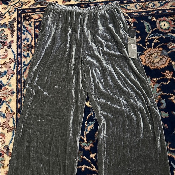 NWT Double D Ranch Velvet Pants in Silvered Sleigh - Picture 2 of 11